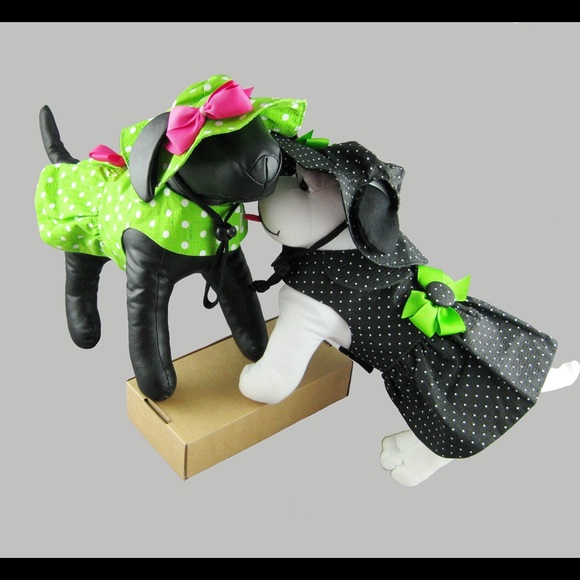 Meet your Posher, Joni, from Misquamicut Ocean - Picture 9 of 9